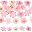 8d998c88aa98402704062318a0448cc9bbcf9ff712233667ffffdbed8c00fb7c