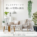 fffffff9effbfffbfff3ffffeffefffcedfad9c6512187001080f7b0fffffd7f191b1a1b202b2b46132400001e171e10