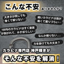 00207eb0f1b7fff469030d807f78143f927fffb4b17c2d0c257f259e48039097929c9c929200929c920000929292929c