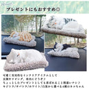 ffffffffffff80ff8c9786cebc01960c8090be5cff80fe00a000fffff37fffff7458776fd5709c8e40a01ea400daa49f