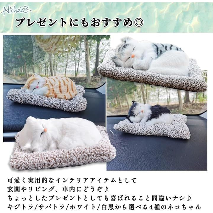 ffffffffffff80ff8c9786cebc01960c8090be5cff80fe00a000fffff37fffff7458776fd5709c8e40a01ea400daa49f