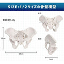 000000000000ffff9fc9ffc1ffebde7bd07fe1e7c3e3efe3fff3fff7ffffffff