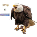 fffffffffffffcc7fc03fc038403f803fa03fe01fe01ff61fe0fffcfffcfffff00000000000015120000130a00001280