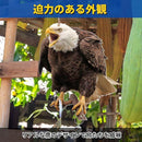 000009f000004b414581f3c1c811f8277c0fb0177d17f153c427c0679c4715849a99999a001415150f0e0f1d121cce2e