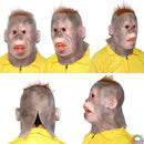 fffffe798c38843894388c308620000000c0ffe7e3e3e1c3c1e3c1e3e1e1edc1