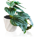 fffffffffffffffffffffe1fff5ffc1ffe0ffe03fc03fc05fe05fe33fff3ffff00000000000000000000570000001764