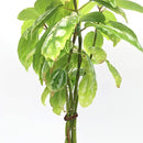 f0bff8dfebcddf2eefcc80f0e4309408082004e004208180f380ff80ff80ff80