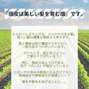 002000006dbd7f7b3fffffff0cdc1ffc1bac1ffc1e7c1dfe1e341eec1ffc1ffc939595939fa209ab2e094b6b94753335