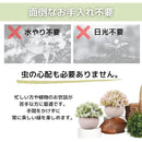 ffff0878000080df8990d988eec09080fffffffbfffff67bebc2ff82ff80fff200000000009c00ab0000000000000014