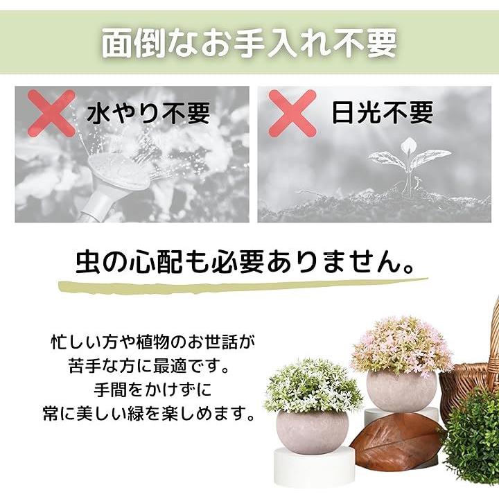 ffff0878000080df8990d988eec09080fffffffbfffff67bebc2ff82ff80fff200000000009c00ab0000000000000014