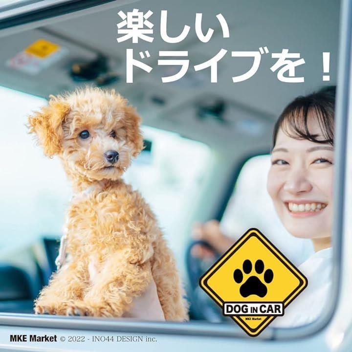 c0000260000062448800ec00f104fbe7fffffddffcdfde875c9b1fa71d0ff03b