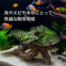 002108000187113402001300600060f09f2c4b90001a0c30b906e709fd6ffe57a49895b69b99009b463a3f3b3512110b