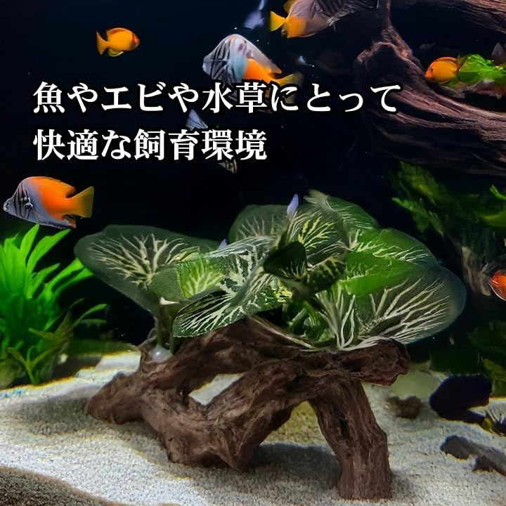 002108000187113402001300600060f09f2c4b90001a0c30b906e709fd6ffe57a49895b69b99009b463a3f3b3512110b