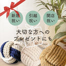 fdfce7c48fe886316220e222e773fffdfdaef6f0dff8bdf8e0f0e1e0c3c0a1e800001e2000526b69121e151a17ab1517