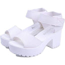 fffffe0ffe80fe12ff00ff80ff00fc00db21cf7da7b992119a35c3fbe03ff03f