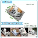 ffff8ffffff5fbfff37fe11ff03ffc3ffe7fffff8d2fffe580408006a800800f8b8e8e8e8b1419008b0047008b2b1217