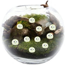 ffffffffffcfffffff77f18bc089c425c022c000c961c811e081f003f807ffff00000000004729de00181f1c00253834