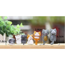 ff88ff88c000600040081f081f081c1c1d54cf58ddd8fd80ed84e584efdfffff3c9039324e4723244b3f07940ff8fb1a