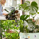 c01f9fd1ff88ba4add46f8f6e071e105e192aa20807d958ece0f8280b8dfd0f7122a341900752b3124311c3415123b31