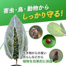 000000002530100b0882100317feef9fd35fc1a3d1e3c1e375f9c790e1f0f4b35f5c5b5a5b7c2154003c0038593f0000