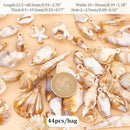 ffffffffbdfcefdadcc37e0bcbc5f6055abba17b000170107a724504a10b7baf1317171712151b120910151c15101310