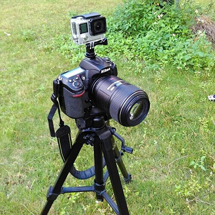 ffc7fc93fc93fcfffce5fc78f1fff0dfe017e01ff07ff23ff03ef03fe00feb0b