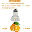 ffffff1fffffffffffffff7fff3ffe3ffe3ffe3ffc1ffffffebffebffc91fc9f00000000000000000000240000003300