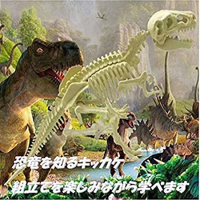 恐竜トリケラトプス 草食恐竜 化石 発掘 骨格組立キット