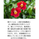 24002009060000020020000000000020ffffeff7f53fedbfffdfffffffffffff5542444d46f7fb400000000000000000