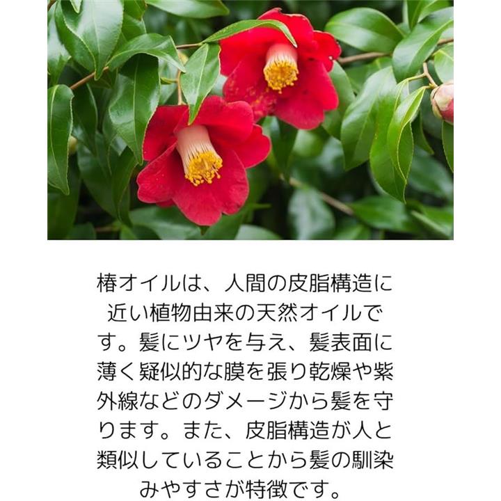 24002009060000020020000000000020ffffeff7f53fedbfffdfffffffffffff5542444d46f7fb400000000000000000