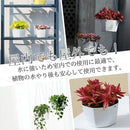 fe00d200e000e402f680e280d21045ffdf9ffc3fffe7ffc1fe61fee3faf7ffff9c176b8024902b86800000002b6b4204