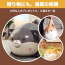 ffffffffffff00000f8c1fbe1f965c9e180f510e682f7fe23fe1273f001c06801c1c1c1c0c8017240c15ebc90c1c1c28