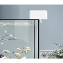 ffffffffffff000000f000f800f80700000000000000084001400141603c043900000000909200957786809297838392