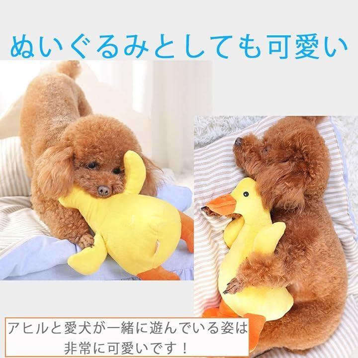 ffffffffb9edefffefff87ff0381c3e100a103d0c760f468e0e0ffe0ffd8fff10000000000121400140e190ea124a70e