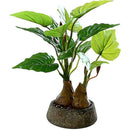 ffffffffffcfe33ff97ff8c7fe43fb23f107ff4fff5fff3ffe1ffc1ffe1fffff0000000000003cab00462f4100001500