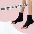 ffe5ffe5fff4fcecdfcdffcdff9dff99ff99ff18fc18fcf0fff3ffcbfffffffff9f9f90ef900f9f9f9f9f9f9a2a2f9bc