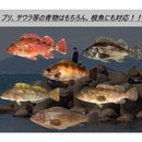 ffffabfeffff000003003e0a3e17000007800380301c541f283c02000a00078000000000970c971c9798161e90241411