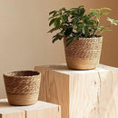 ffc0ffd0ff00fe00fea0ff00ff8cff84ff8cf81e807f843f8c3f843f0e7fffbf18171713161718351616171516161315