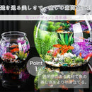 00032e6f0103ffff01e0038703c6707fcc37c4f7503b0366870001ff01fe01d69c006b3c892b630bb88b4313a0174e2b