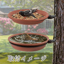 fffcfffcfffde01ce448f00cf81cff5cf7fcf41ce068e02cf01cfffca850ea1024302c241a04170990445e0b3f0a0b3f