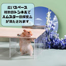 ffffffffd58f848bb189ddcfffeeff1efcfc36c20005f98101fe007f0fffffff54505252548092200d0e0aa930390e80