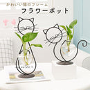 fffffb7ffebdfffdfff9f5b0e160f3f1f4e4f3e689efefe76bfef0ffceffffff0000ab221222222b1b001a2613221c1a