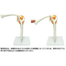 ffff03f373c3f233f273fbfbfbfbfbfbfbfbf3f1f1f1e1e1e1e1ffff000000ff