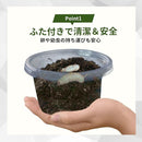 fffffffffe5ffffffdfffffff80fe007e007f00ff00fe80fe001f800fc00fffc0000000000242424009e248f0009120d