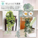 ffffffffffe7c5d3fff7371437602116800384038007af03fb8d8023fe73df7f000000f909496b6a10377c19ce890917