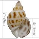 ffffff7ffe7ffc3ffc3ff81fd11ff01ff00ff00fd007f007f807fc0ffe1fffff0000000000001f00001a1a0000001e1e