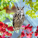 7fcb77f08ef8c9d4003ce0d2fe41fcfcedbf779f1d5f0877a3231bf3e50a481244896a922e1c00923a3c158ffdf71af9