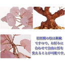 ffffe406e044c0608073cc63eb41ff80ffff8fff8dae88ea90ff9efd83b681ff00000000000cfd0a00000000000b0000