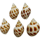 fffffbdff5fff67fffffefffeabfbefbed7d77dee3fcfeea7c3fbcf5ffffffff