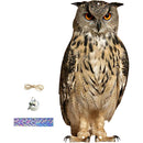 fffffffffe1ffe1ffe1ffc5ffc0ffc0ff80ff80fe80ff81ff81f843ffc3ffc9f0000000000001b0000001e0000001500